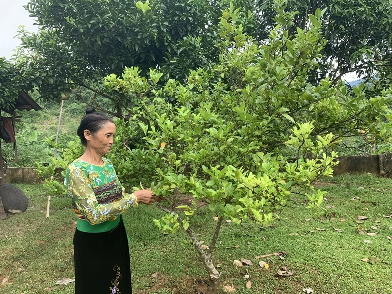 Kapitaal de berg op dragen
