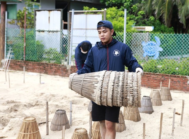 Hành trình bảo tồn rùa biển của chàng trai xứ nắng Tây Ninh - Ảnh 1.