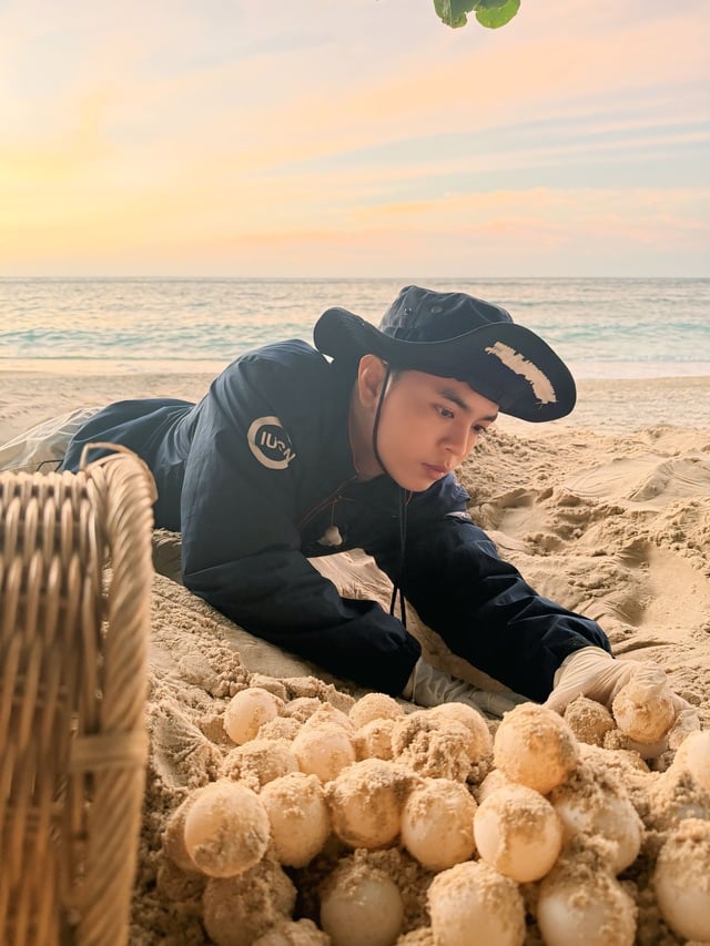 Hành trình bảo tồn rùa biển của chàng trai xứ nắng Tây Ninh - Ảnh 3.