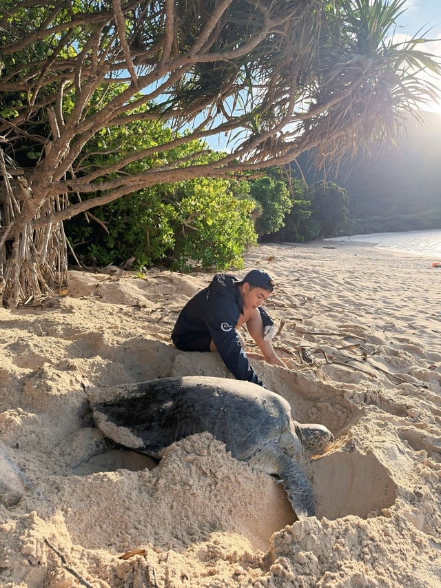 Hành trình bảo tồn rùa biển của chàng trai xứ nắng Tây Ninh - Ảnh 6.