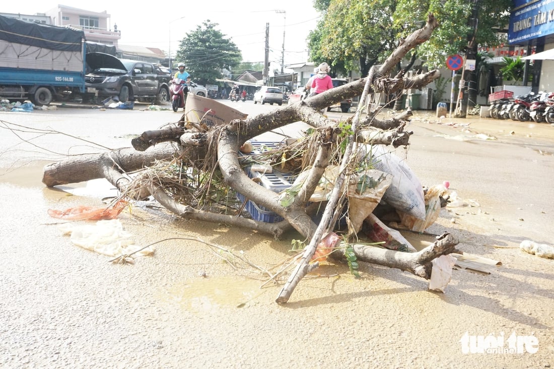 Sau lũ lụt lịch sử, quốc lộ 1 qua Đà Nẵng vẫn ngập, ngổn ngang khắp nơi - Ảnh 3.