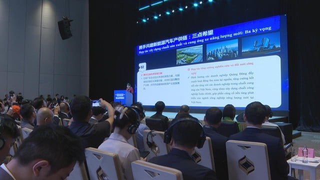 Hợp tác xuyên biên giới: Việt Nam – Trung Quốc thúc đẩy giao thông không phát thải - Ảnh 2.