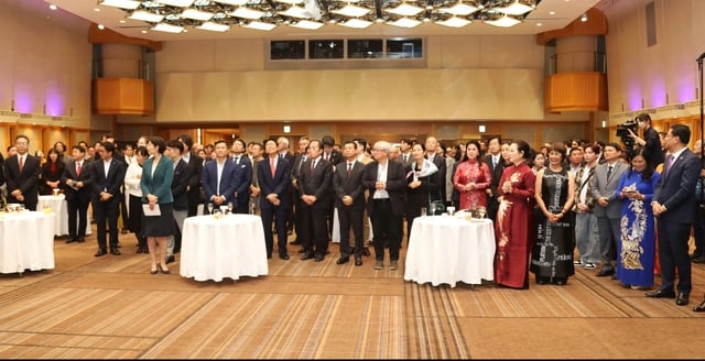 Giao thoa cảm xúc Nhật – Việt tại VietNam Night - Ảnh 6.