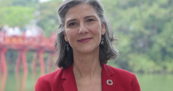 Tầm nhìn dài hạn, vai trò lãnh đạo mạnh mẽ mang lại thành tựu cho Việt Nam: Trưởng Đại diện UNDP