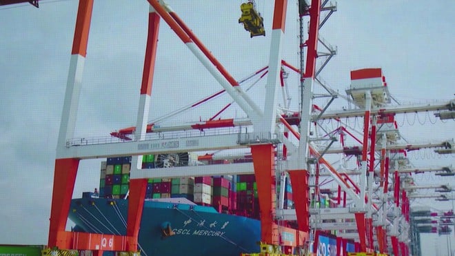 10 năm Cảng Tân Cảng – Cái Mép Thị Vải: Dấu ấn phát triển và ghi nhận từ Chính phủ - Ảnh 2.