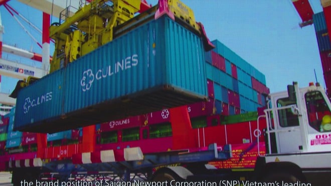 10 năm Cảng Tân Cảng – Cái Mép Thị Vải: Dấu ấn phát triển và ghi nhận từ Chính phủ - Ảnh 3.