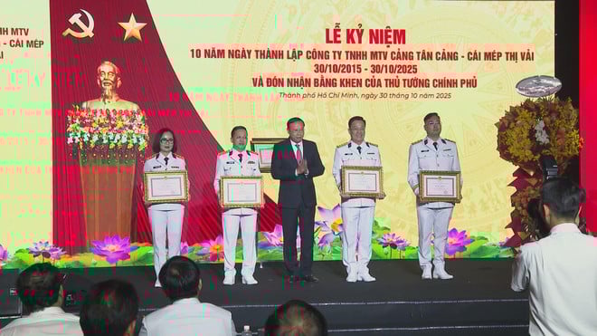 10 năm Cảng Tân Cảng – Cái Mép Thị Vải: Dấu ấn phát triển và ghi nhận từ Chính phủ - Ảnh 7.