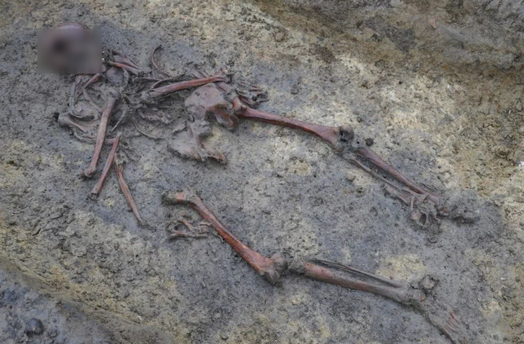 Michael Borre Lundo ຕ້ອງການກວດເບິ່ງຮູບແບບທາງສັງຄົມ, ລວມທັງການເປັນພີ່ນ້ອງແລະການຍົກຍ້າຍ, ຈາກອາຍຸ Viking ແລະດັ່ງນັ້ນຈິ່ງເຂົ້າໃຈເລື່ອງຊີວິດຂອງເຂົາເຈົ້າໂດຍຜ່ານການວິເຄາະ DNA. ຮູບພາບ: @Michael Borre Lundo. 8-5362.png