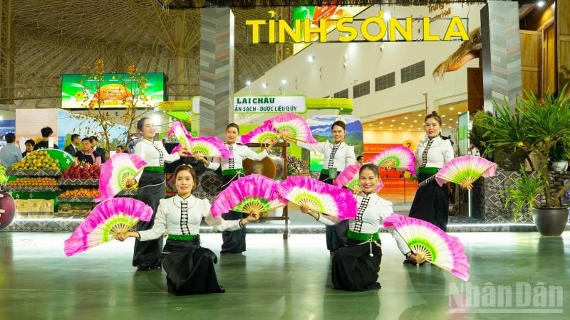 2025년 첫 가을 축제에서 선라 지방의 타이 쇼에 춤. (사진: HNV)