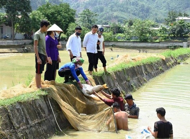 Lao Cai: Efterlikningsrörelsen  Lào Cai: Phong trào thi đua “Nông dân sản xuất, kinh doanh giỏi, đoàn kết giúp nhau làm giàu” góp phần thực hiện mục tiêu giảm nghèo đa chiều - Ảnh 1.