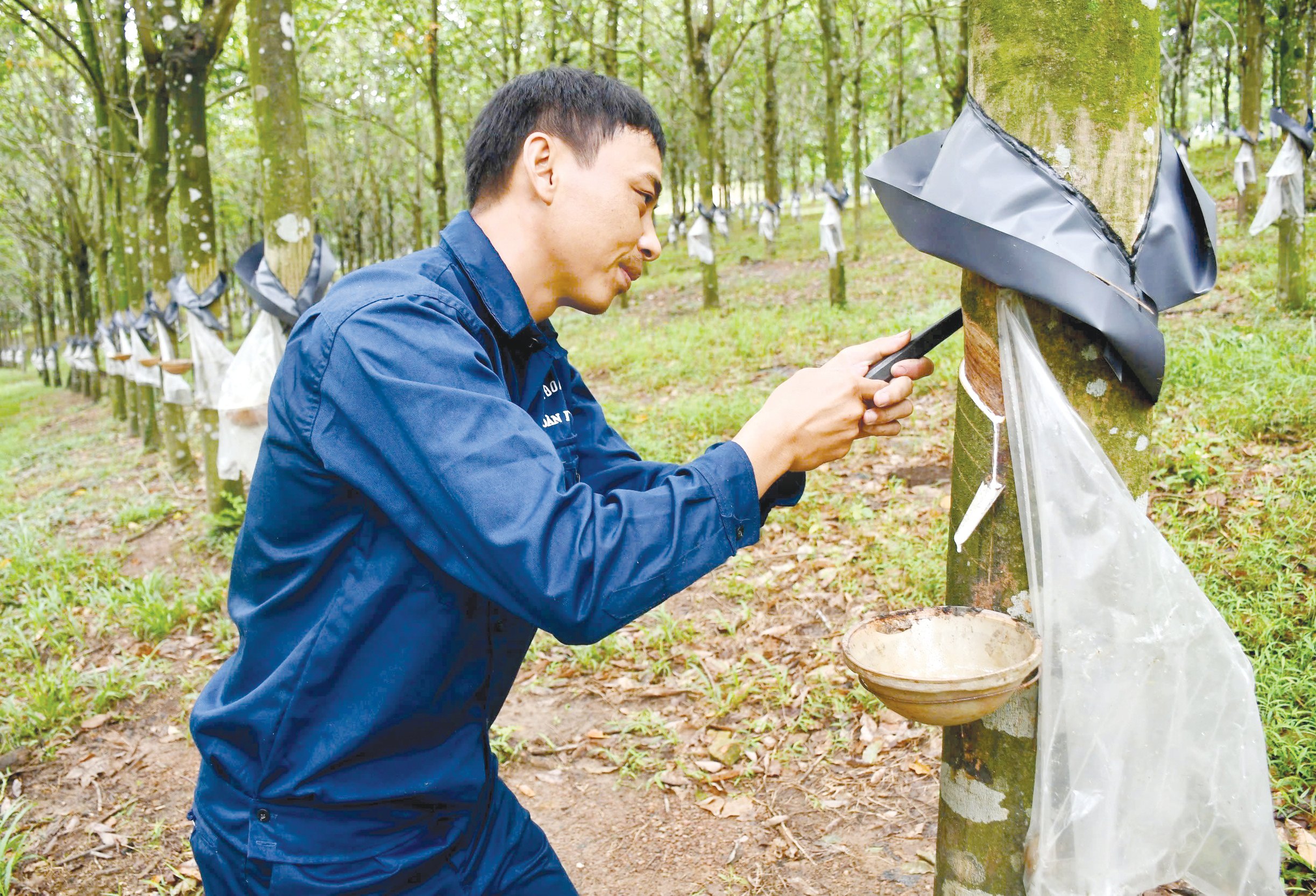 Mr. Ngo Van Dung, worker of Economic Group 79 - Photo: Economic Group 79