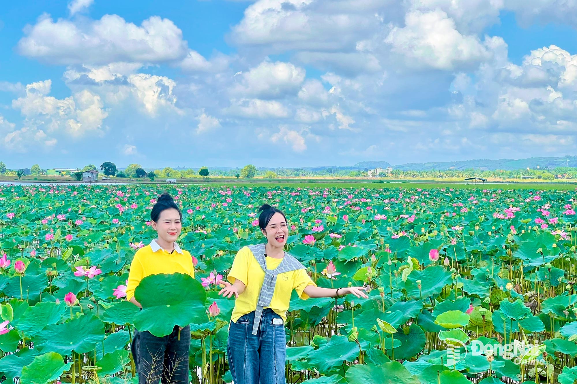 Hai MC Diệu Hiền - Minh Tuyết trong khung cảnh nên thơ của đồng sen Phú Hòa, khởi đầu hành trình Đi một ngày đàng.... Ảnh: Thanh Thùy