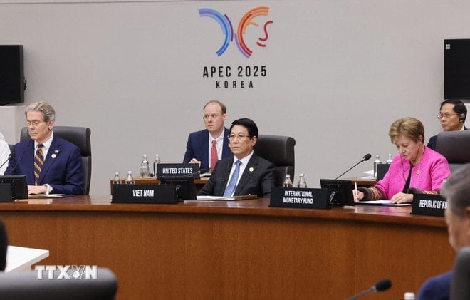 Prezident Luong Cuong se účastní 32. summitu Asijsko-pacifické hospodářské spolupráce (APEC). (Foto: Lam Khanh/VNA) ttxvn-3110-chu-tich-nuoc-apec-7.jpg