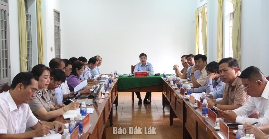 O vice-secretário do Comitê Provincial do Partido e presidente do Comitê Popular Provincial, Ta Anh Tuan, presidiu a recepção aos cidadãos.