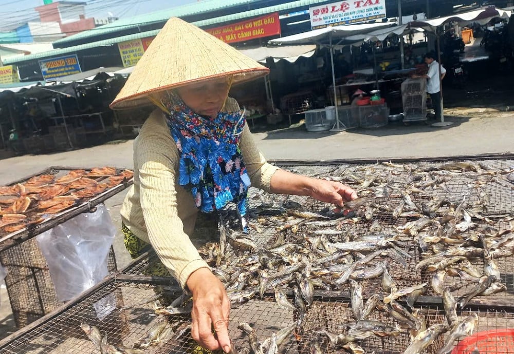 ໃນລະດູການແຫ້ງປານ້ໍາຈື