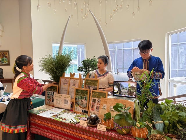 - រូបថត ២.  - Ảnh 2.