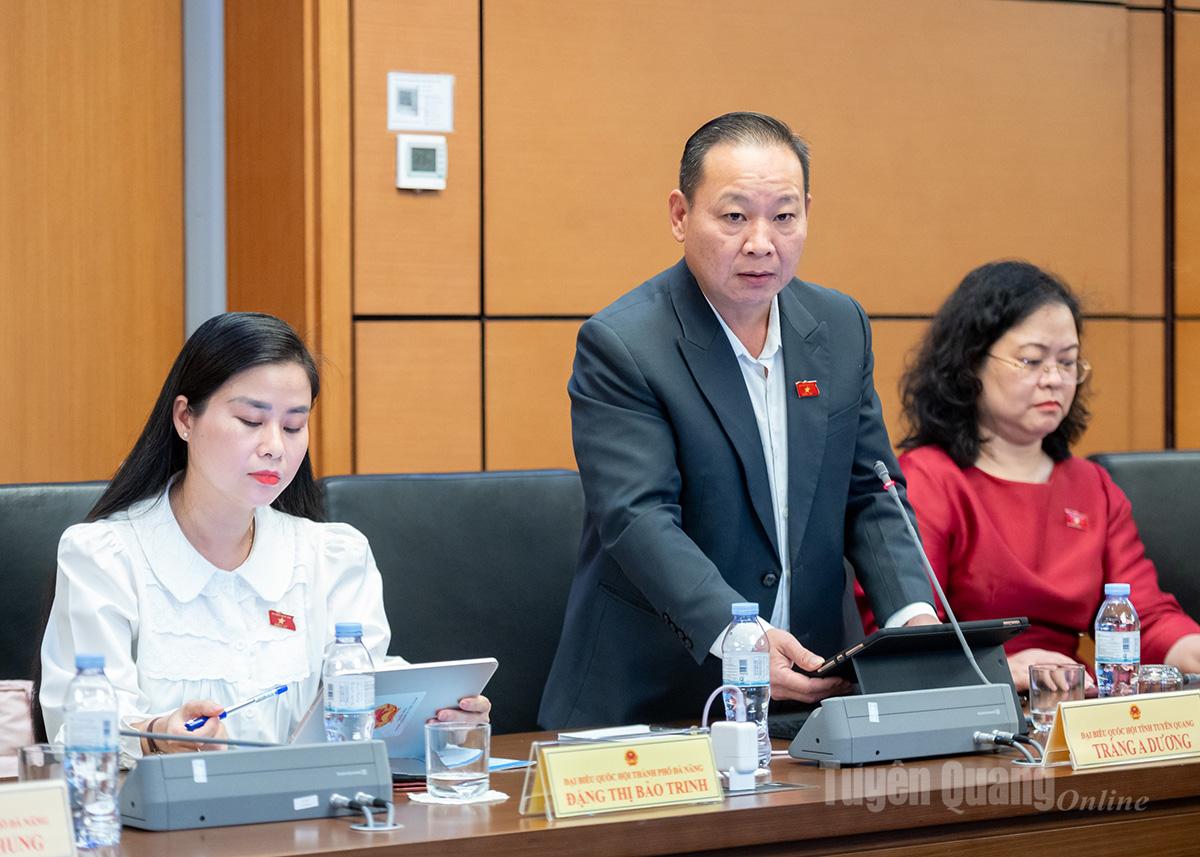 Delegaten Trang A Duong talade i diskussionen.