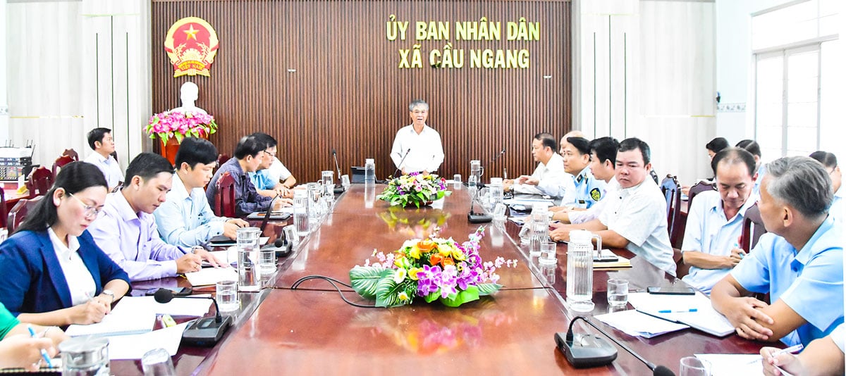 Заместитель председателя Народного комитета провинции Чау Ван Хоа выступил с речью, руководя инспекционной сессией.