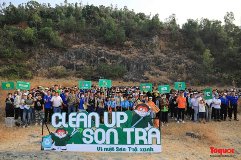 Đà Nẵng giữ rừng xanh, biển sạch để phát triển du lịch bền vững - Ảnh 2.