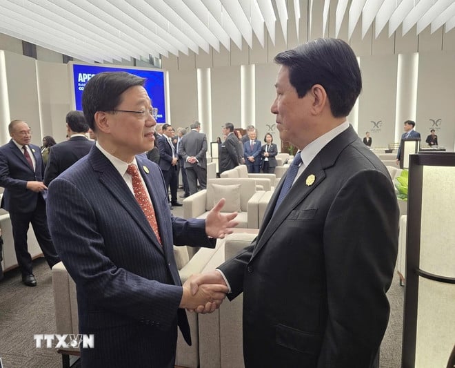 ທ່ານປະທານປະເທດ ເລືອງເກື່ອງ ໄດ້ມີການພົບປະກັບທ່ານ Lee Ka-sieu ຫົວໜ້າຄະນະຜູ້ແທນຮົງກົງ (ຈີນ). (ພາບ: TTXVN) ttxvn-chu-tich-nuoc-gap-lanh-dao-cac-nen-kinh-te-apec-2.jpg