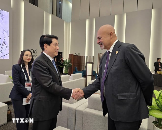 ທ່ານປະທານປະເທດ ເຈືອງເຕີນຊາງ ໄດ້ມີການພົບປະກັບທ່ານຮອງນາຍົກລັດຖະມົນຕີ, ຫົວໜ້າຄະນະຜູ້ແທນ Papua New Guinea, ທ່ານ John Rosso. (ພາບ: TTXVN) ttxvn-chu-tich-nuoc-gap-lanh-dao-cac-nen-kinh-te-apec-3.jpg