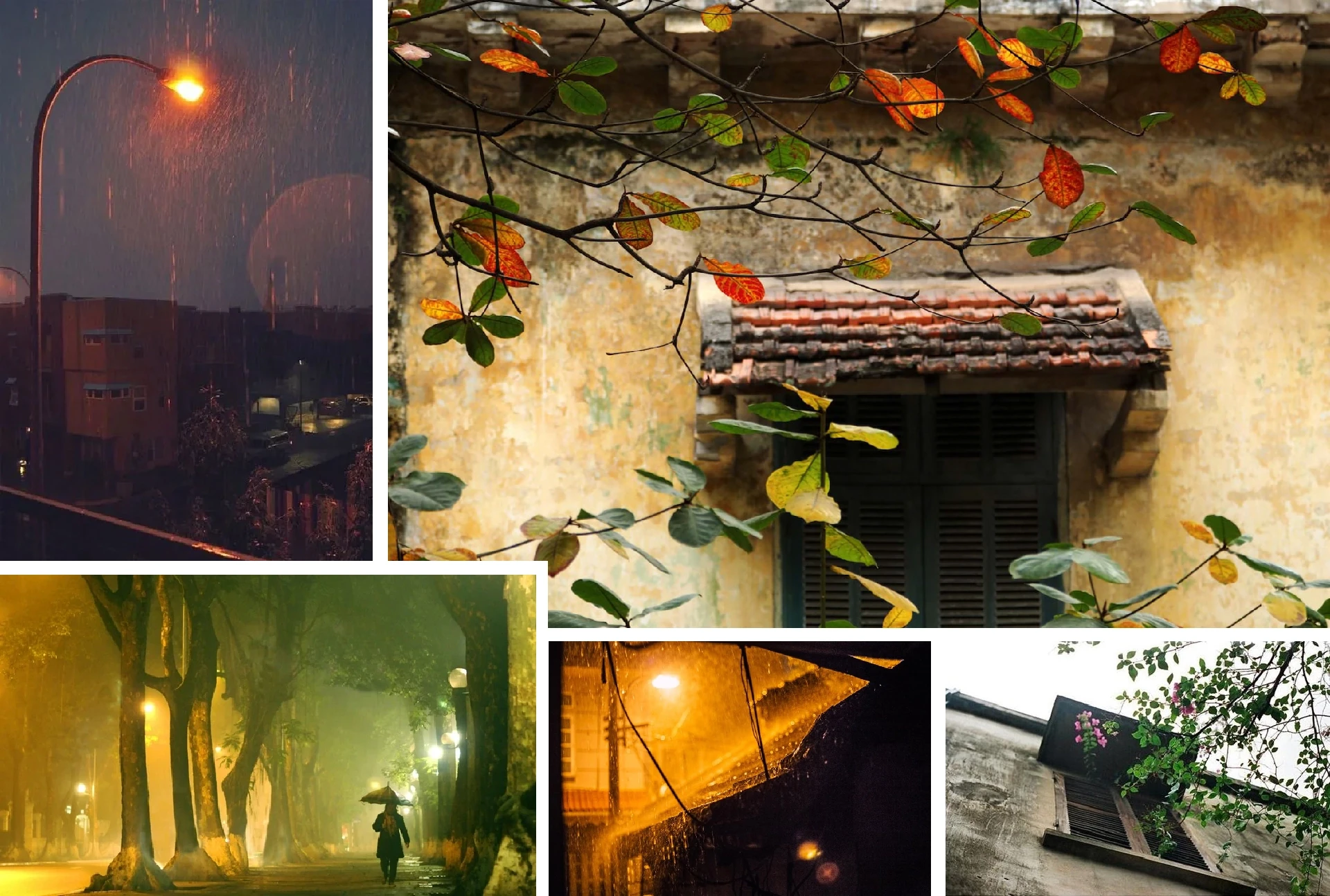 [E - Magazine]: Poate că toată lumea are o iarnă de ținut minte.