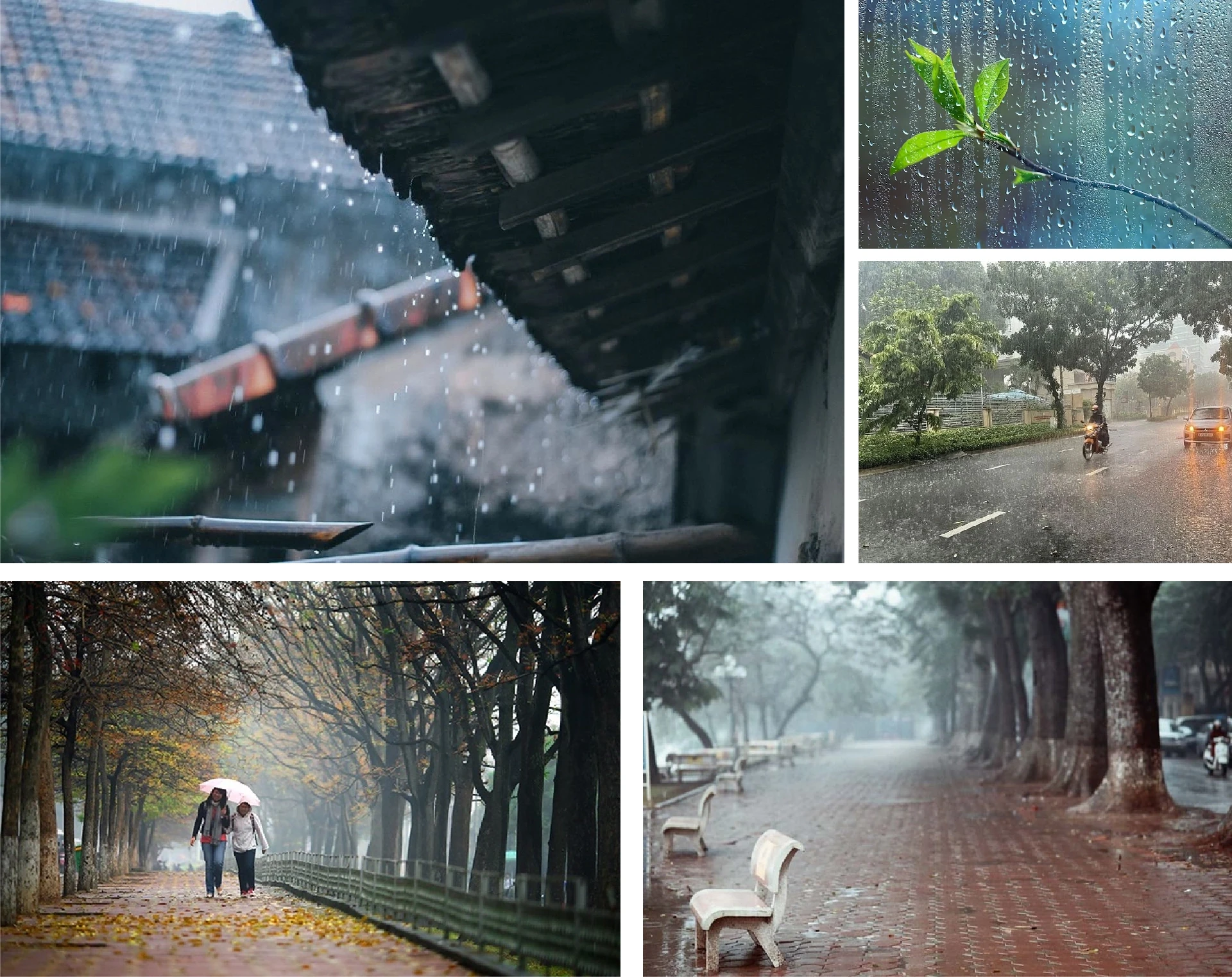 [E - Magazine]: Poate că toată lumea are o iarnă de ținut minte.