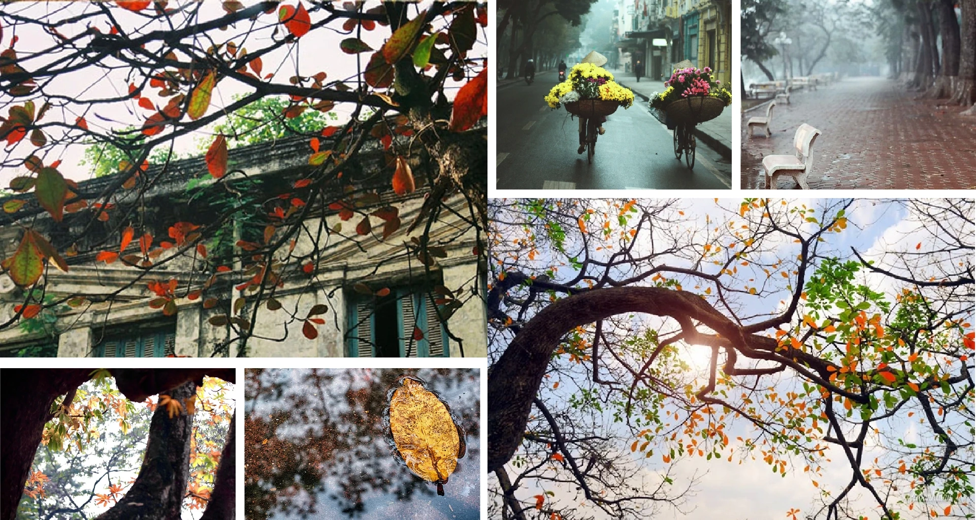 [E - Magazine]: Poate că toată lumea are o iarnă de ținut minte.