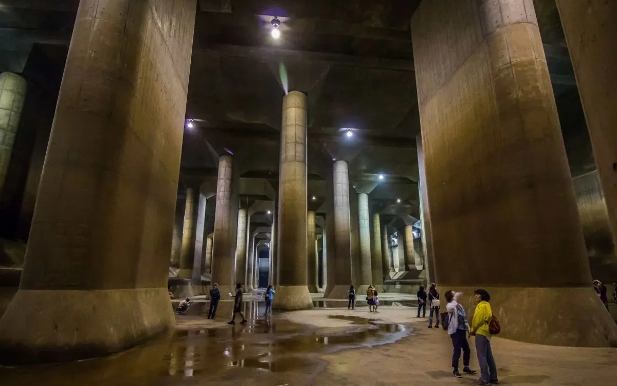 (រូបថត៖ Japan Times) (Ảnh: Japan Times)