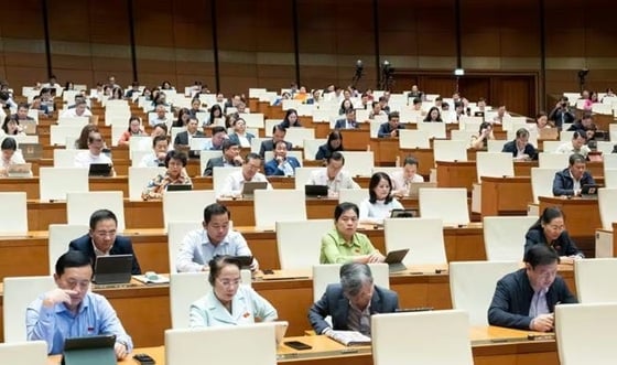 Đạo luật tổng thể cho chuyển đổi số quốc gia - Ảnh 1.