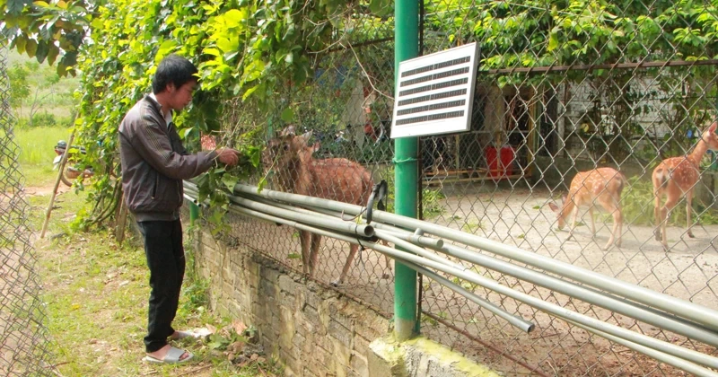 ផ្គត់ផ្គង់ជីវភាពគ្រួសារក្រីក្រ