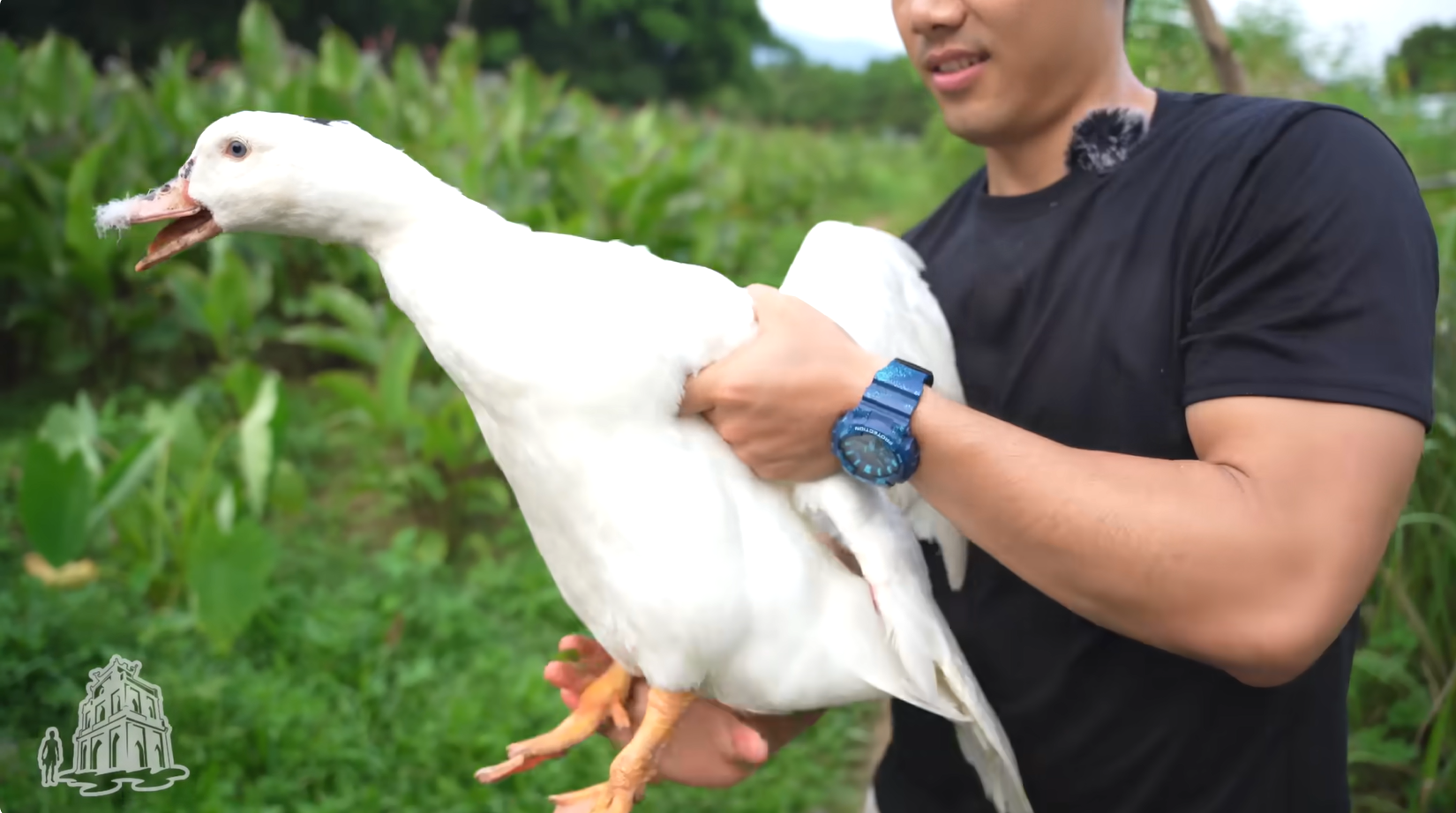 cà sáy tiên yên 0   hãy thách thức tôi 0.png