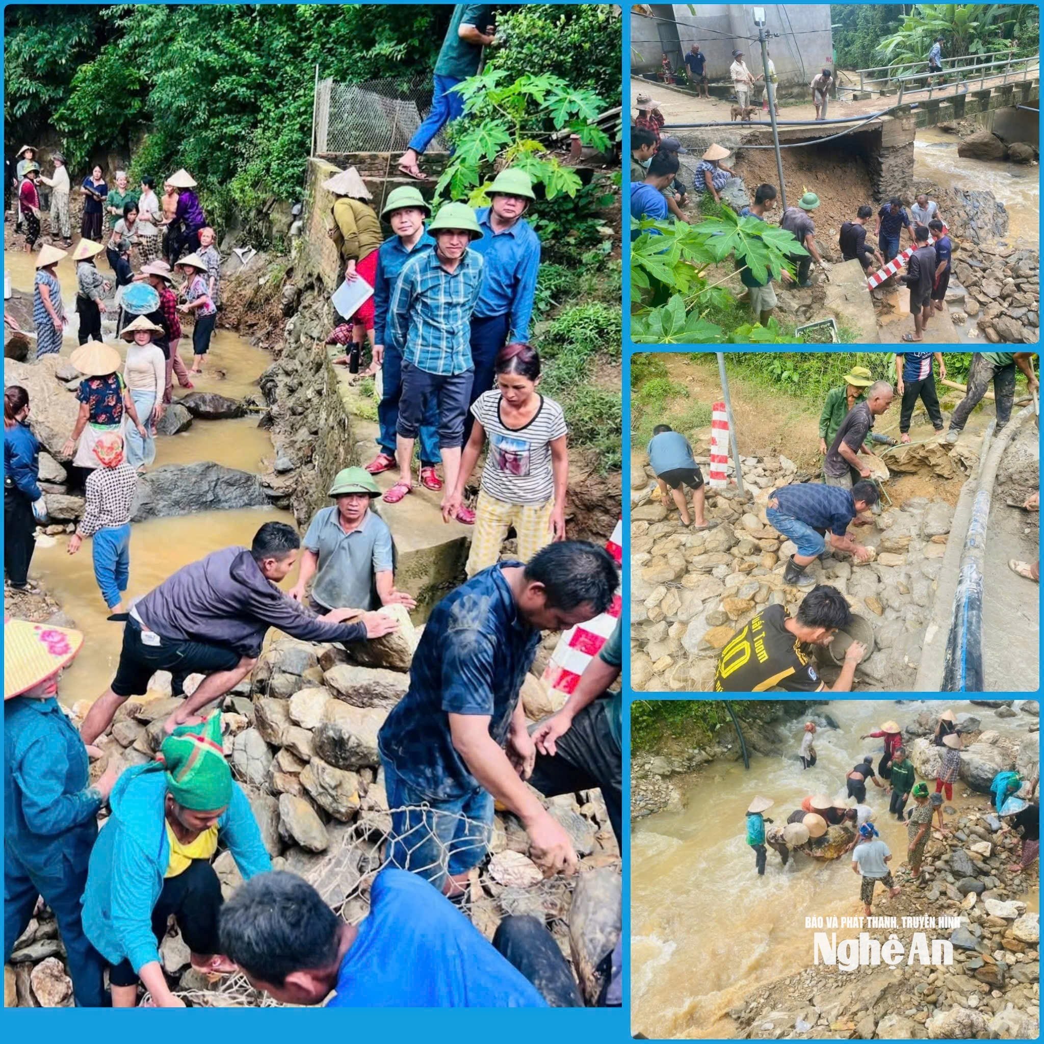बुद्धिमत्ता