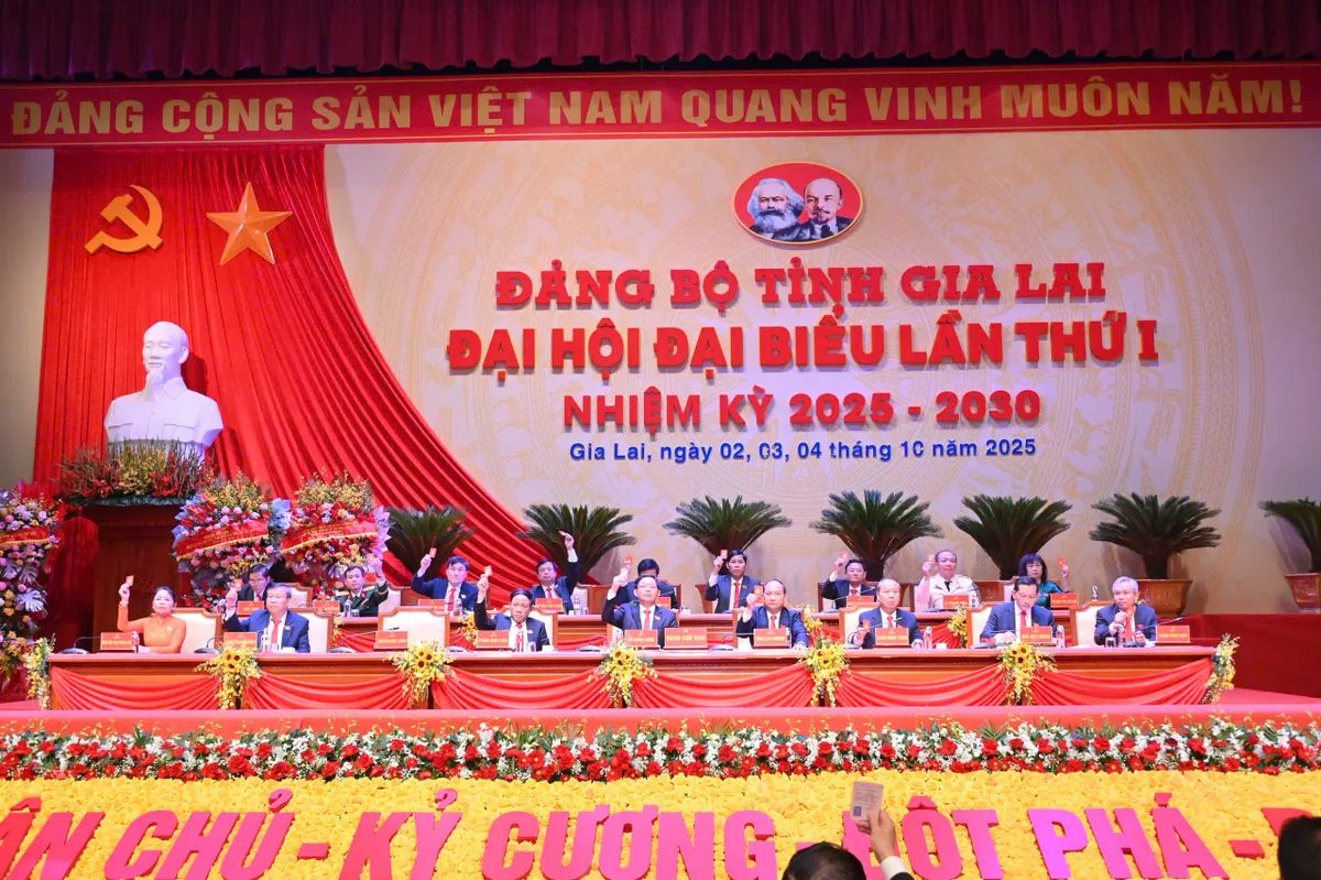 Xây dựng Gia Lai thành trung tâm công nghiệp năng lượng tái tạo của vùng - Ảnh 2.
