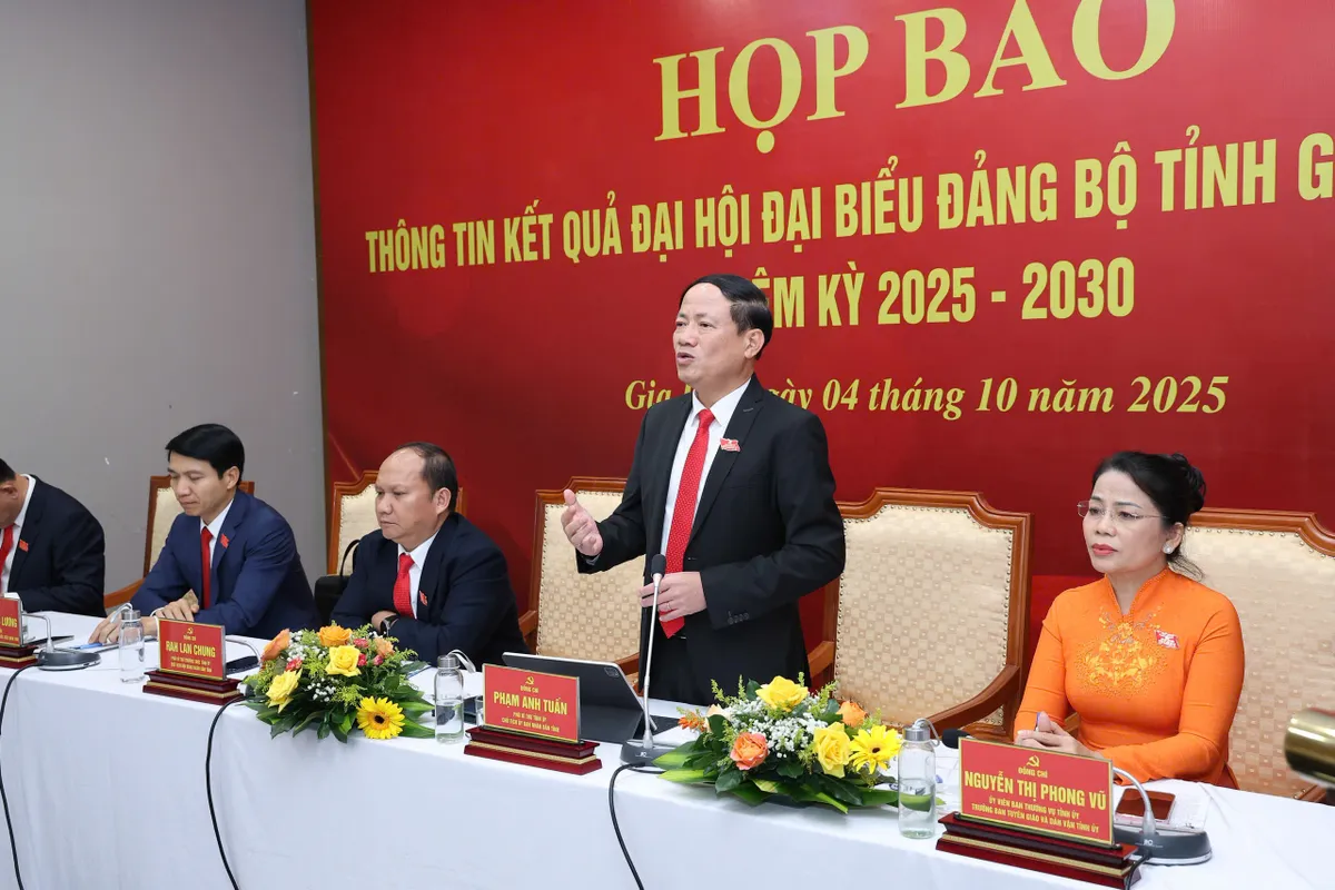 Xây dựng Gia Lai thành trung tâm công nghiệp năng lượng tái tạo của vùng - Ảnh 1.