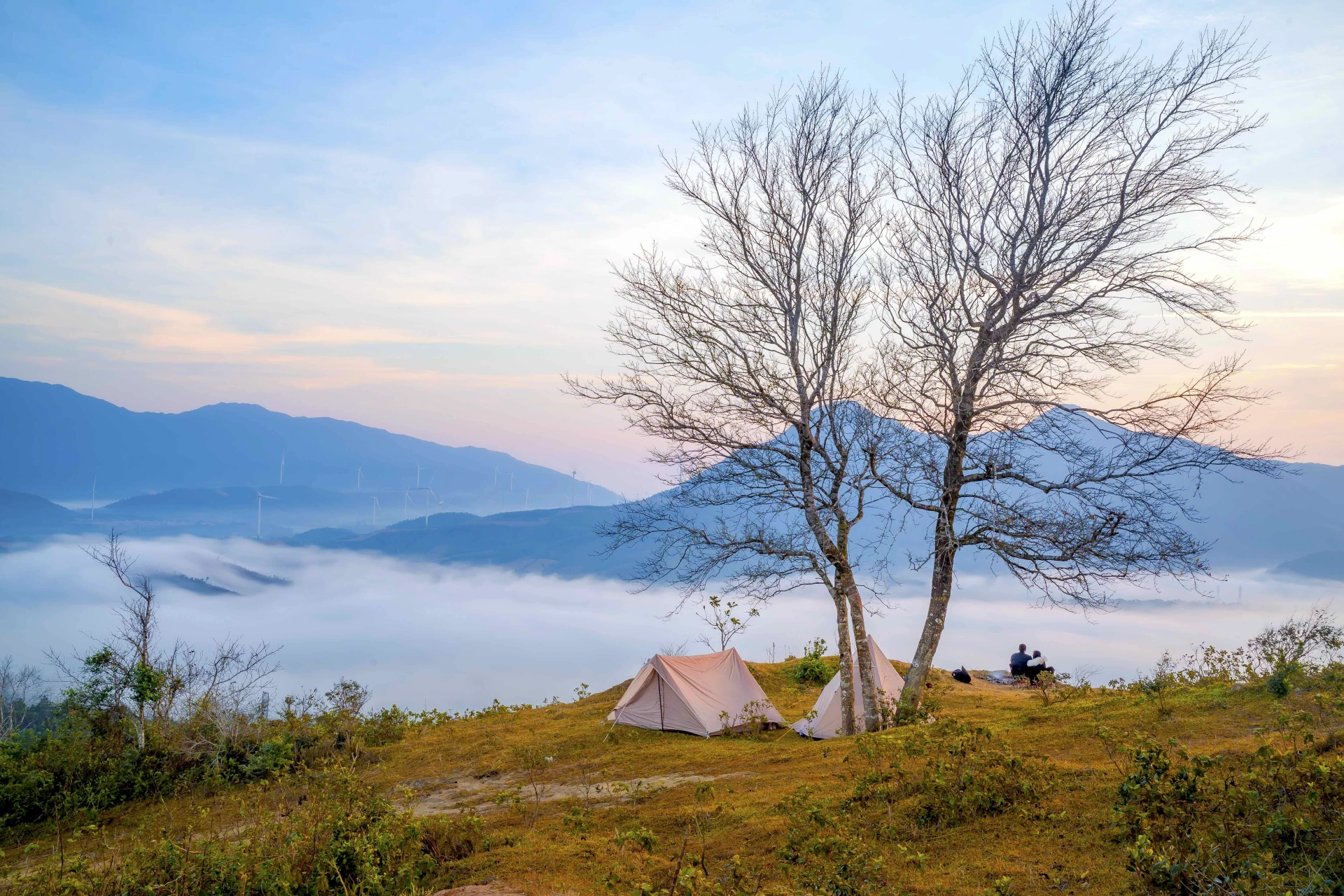 Khe Sanh Camping Tour to hunt clouds in Huong Tan wind power area - Photo: Q.N