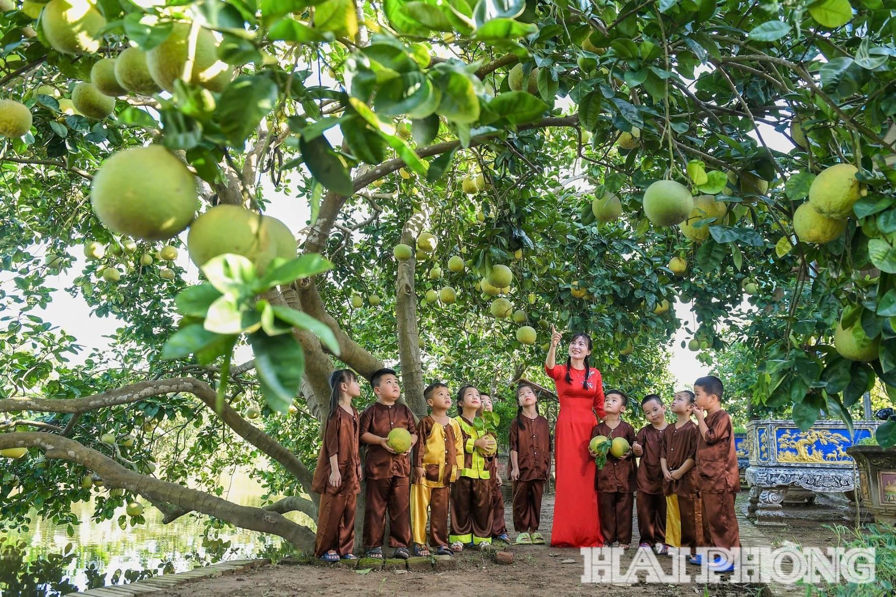 ក្រូចថ្លុង-វាល-បទពិសោធន៍(1.jpg