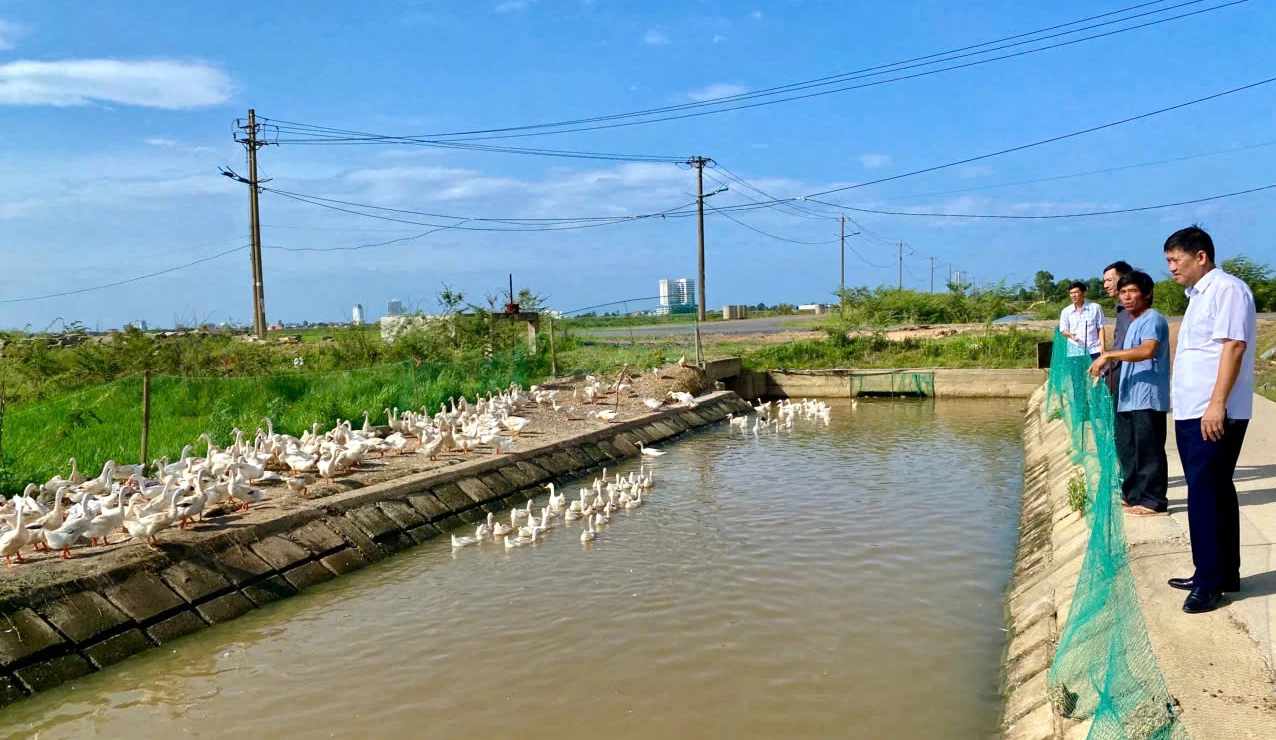 Hien កសិដ្ឋានចិញ្ចឹមសត្វរួមបញ្ចូលគ្នា ក្រុមលំនៅដ្ឋាន Duc Hoa មានប្រសិទ្ធភាពសេដ្ឋកិច្ចខ្ពស់ - រូបថត៖ H.TR