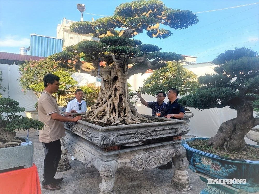 ទ្រី លឹម ៥