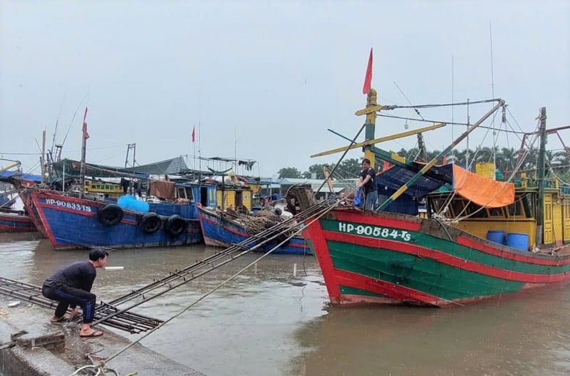 Quảng Ninh, Hải Phòng chủ động phòng chống bão số 11 -0