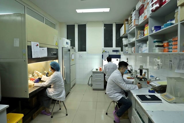 Viện Vệ sinh dịch tễ T.Ư nghiên cứu về bệnh truyền nhiễm mới nổi và tái nổi - Ảnh 1.