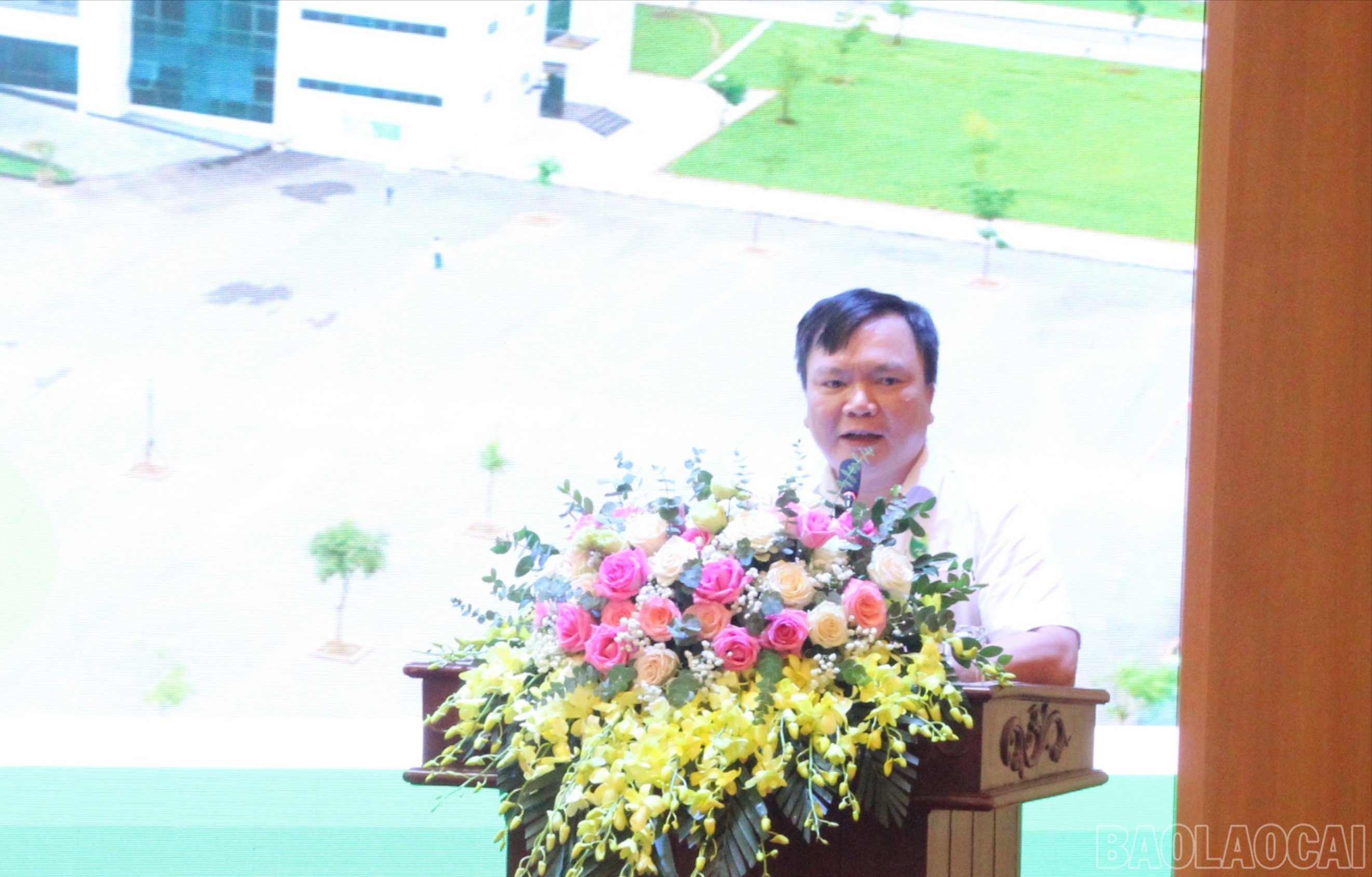 baolaocai-br_6.jpg
