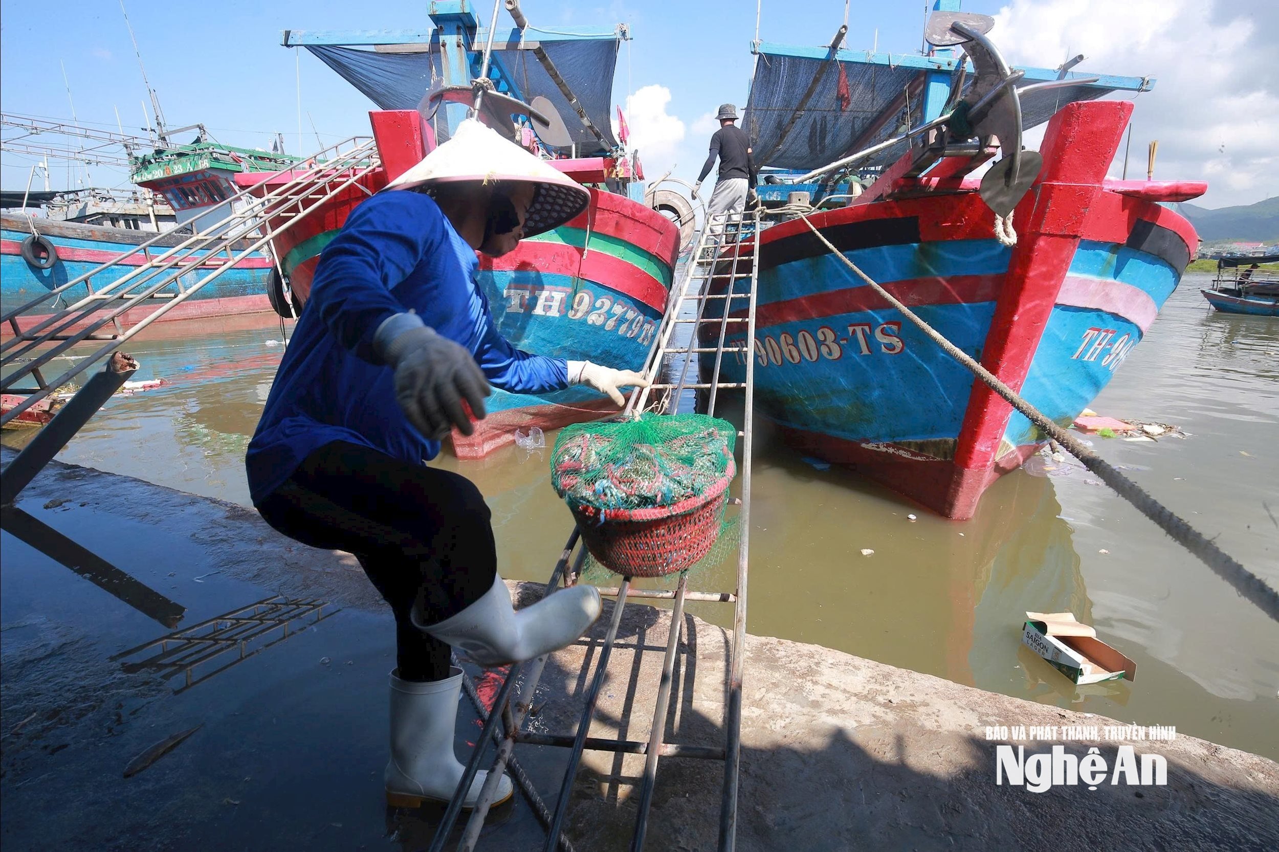  ghẹ. Ảnh: TP7079895603656_a92cdb52d05179bab2a60bb254cf9cd3