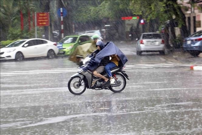 Ảnh minh họa: TTXVN 