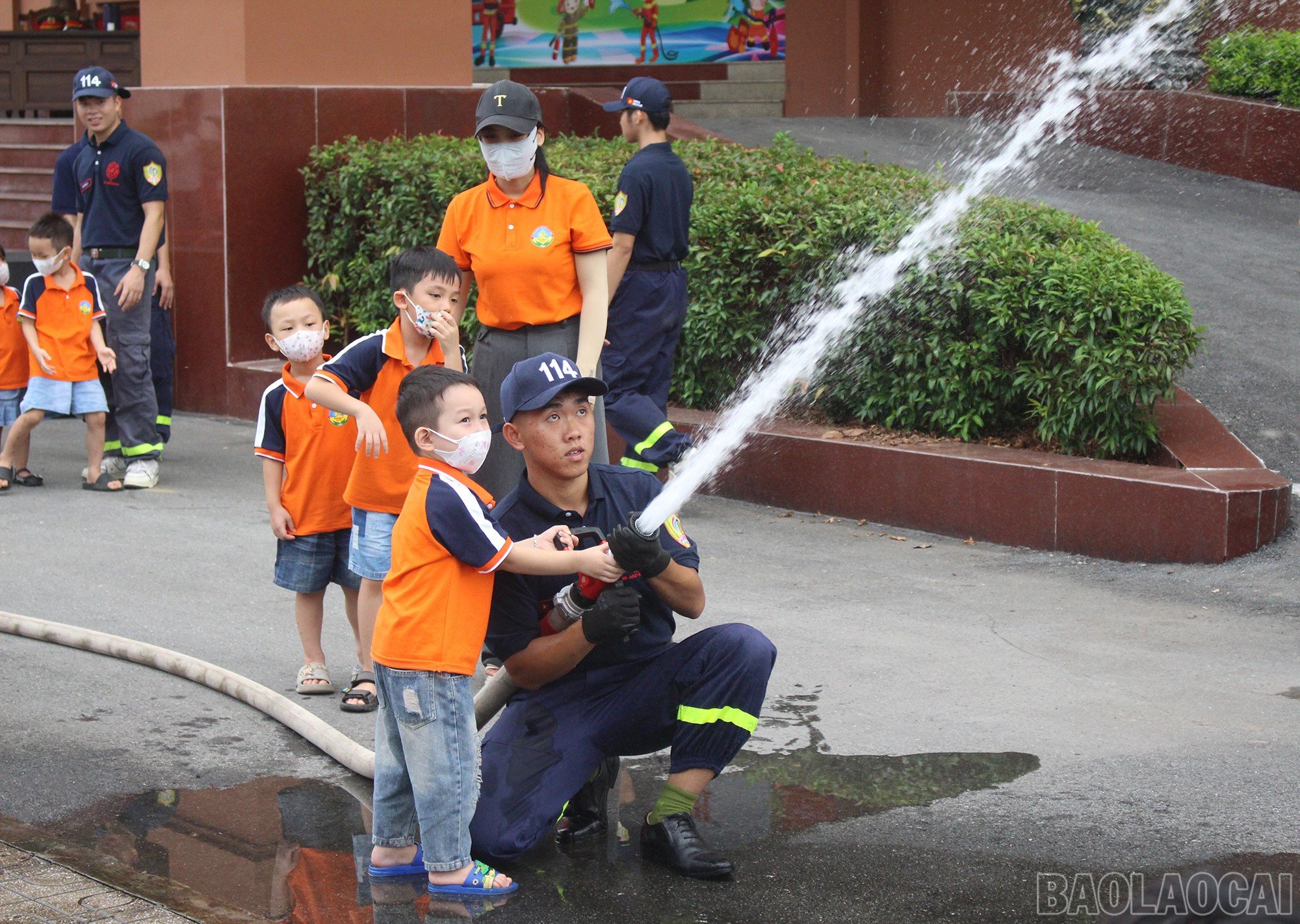 baolaocai-br_img-6985.jpg