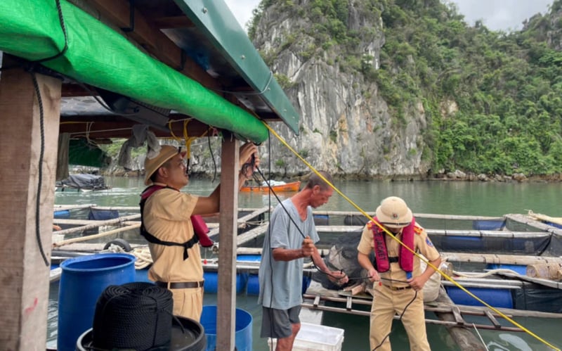 Quảng Ninh, Hải Phòng chủ động phòng chống bão số 11 -0