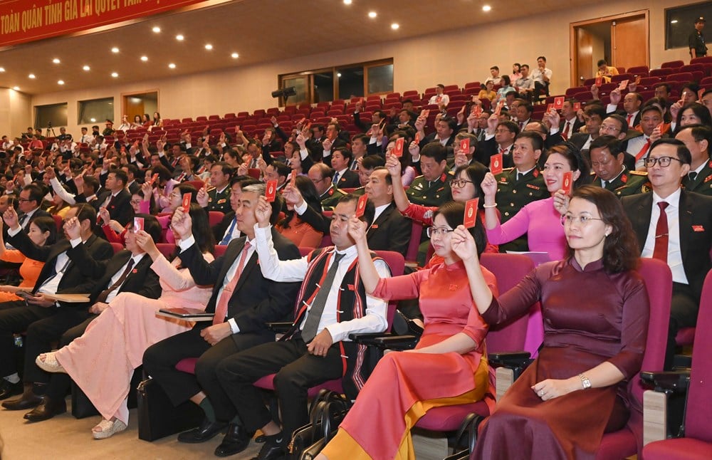 Gia Lai identifies new driving force from science, technology and innovation development - photo 4