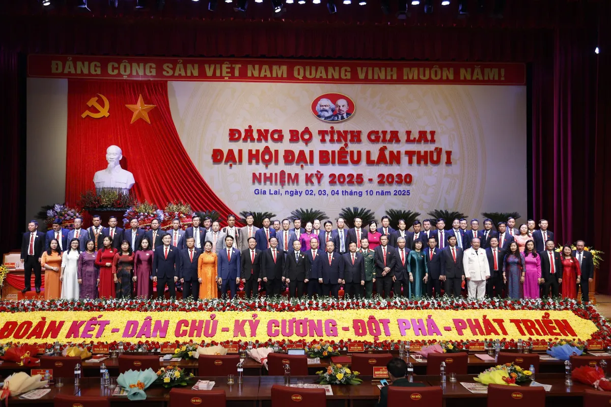 Xây dựng Gia Lai thành trung tâm công nghiệp năng lượng tái tạo của vùng - Ảnh 3.