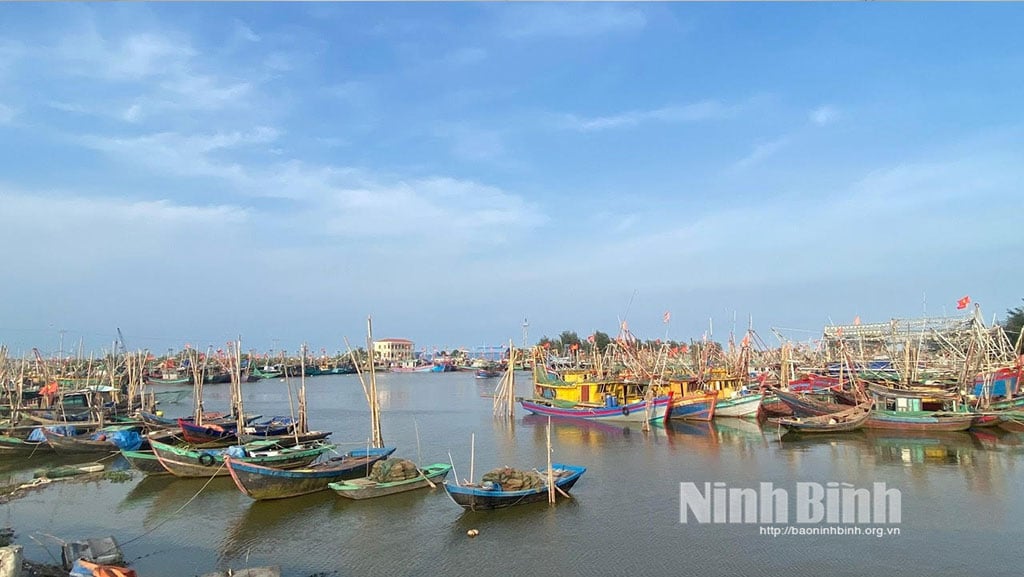 Quan Vinh 1 sluice gate, Rang Dong commune - a storm shelter for boats. Photo: PV