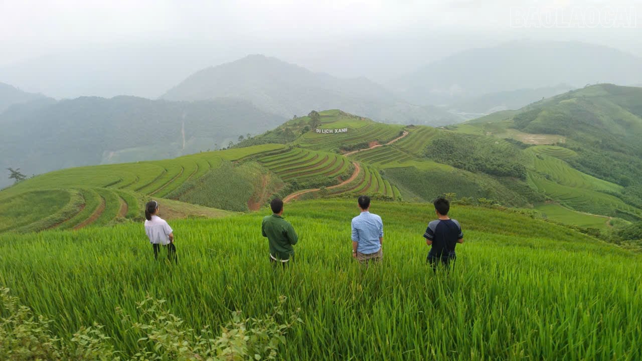 baolaocai-tr_ruong.jpg